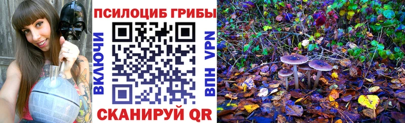 Галлюциногенные грибы ЛСД  наркотики  Вышний Волочёк 